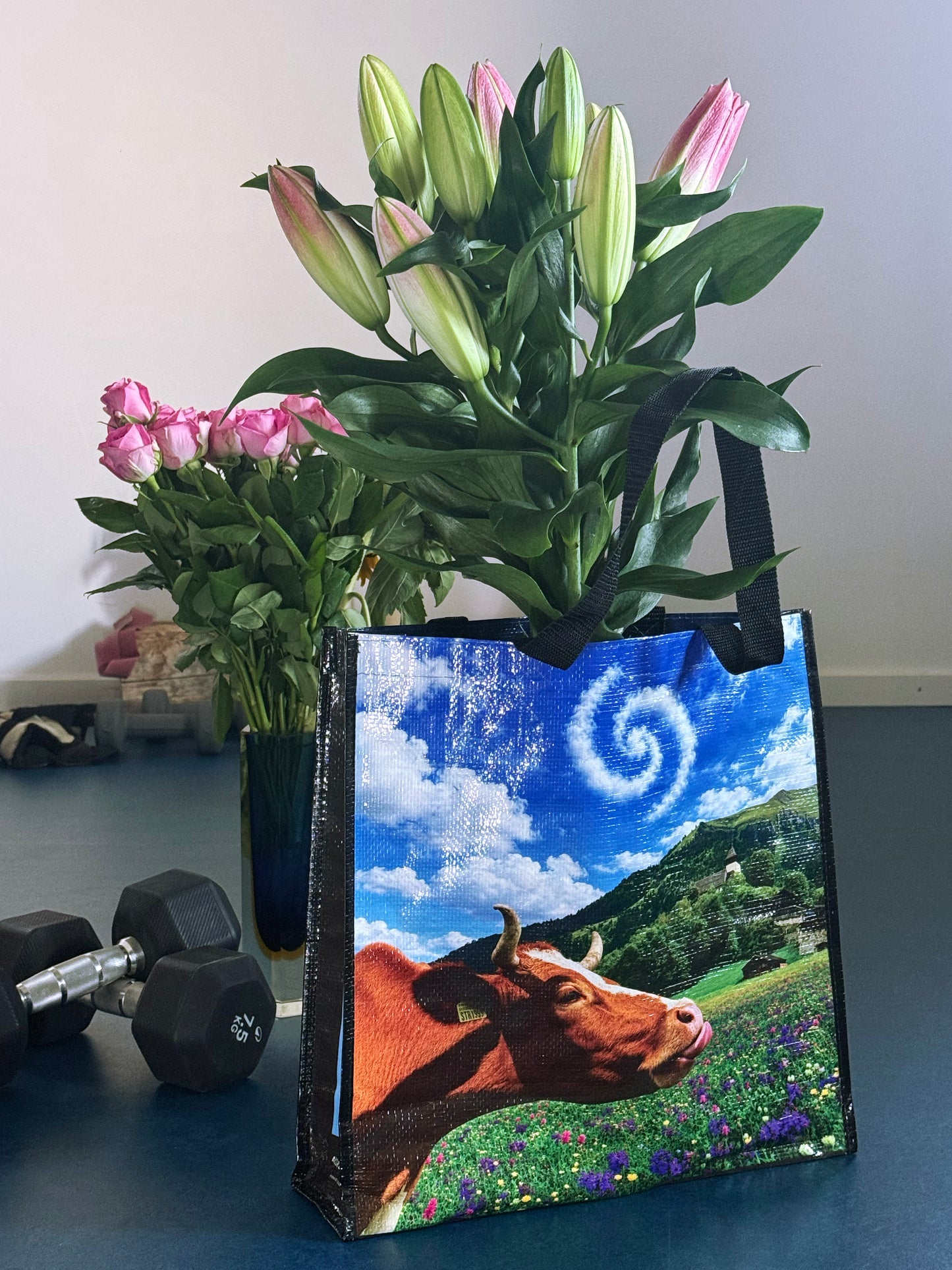 Souvenirs Bag