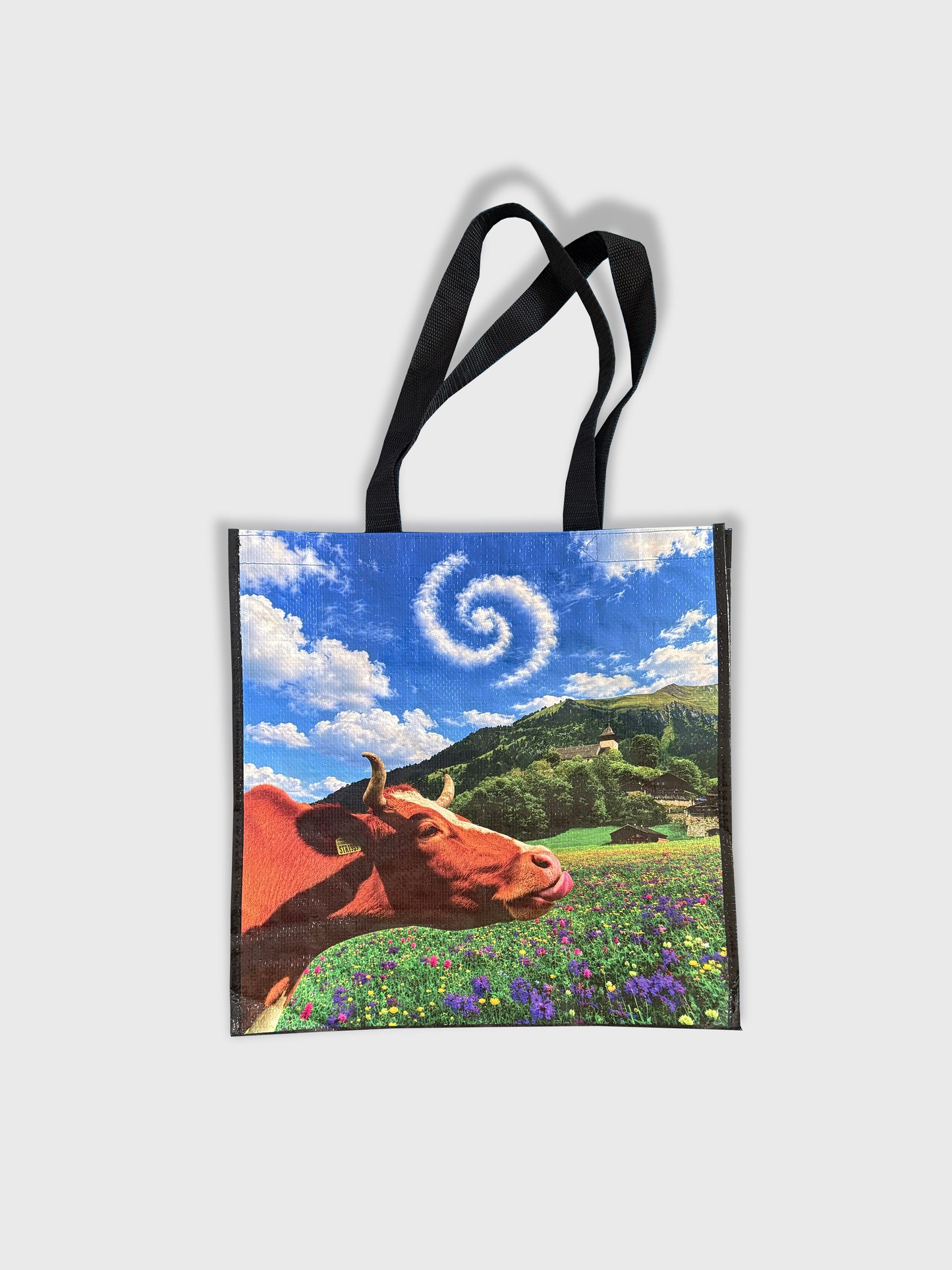 Souvenirs Bag